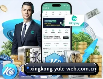 星空娱乐 APP 深度功能